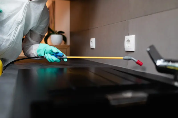 شركات رش المبيدات المعتمدة 01050003433 خيارك الامثل للتخلص من الحشرات المنزلية